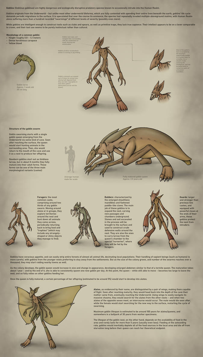 Noblins Guide to goblins by BananaScholar on DeviantArt