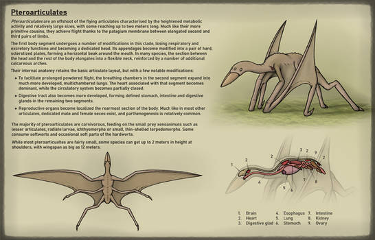 Penumbra Project: Pteroarticulates