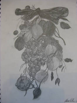 Still Life - Fruit and Ribbons in pencil