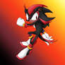 Shadow