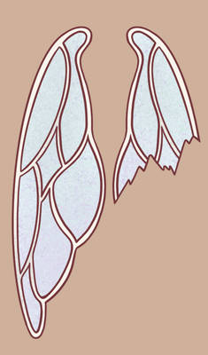 Whimsy Wings