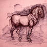 Horse study 1