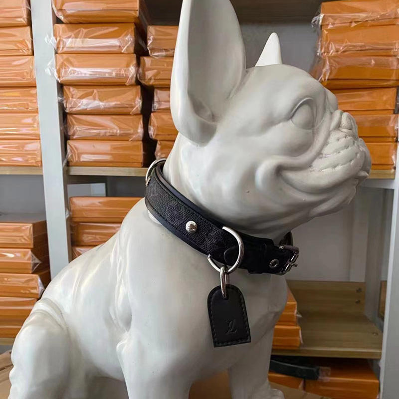 Igucu22 User Profile Deviantart Igucu22 User Profile Deviantart