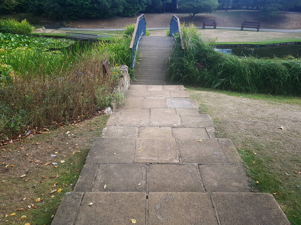 Steps to the Bridge by CatonaBlade on DeviantArt