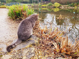 I will wait here a little longer