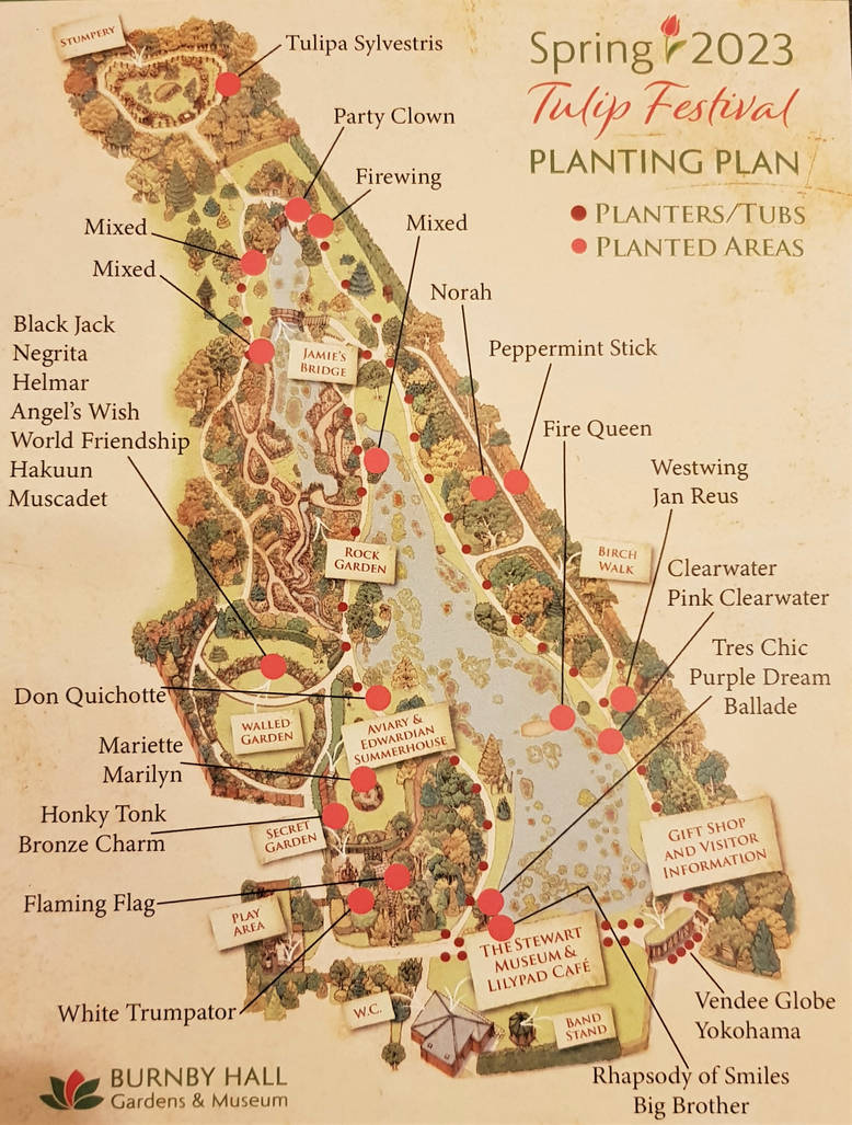 Tulip Festival map by CatonaBlade on DeviantArt