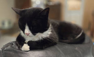 Still got time for a quick nap