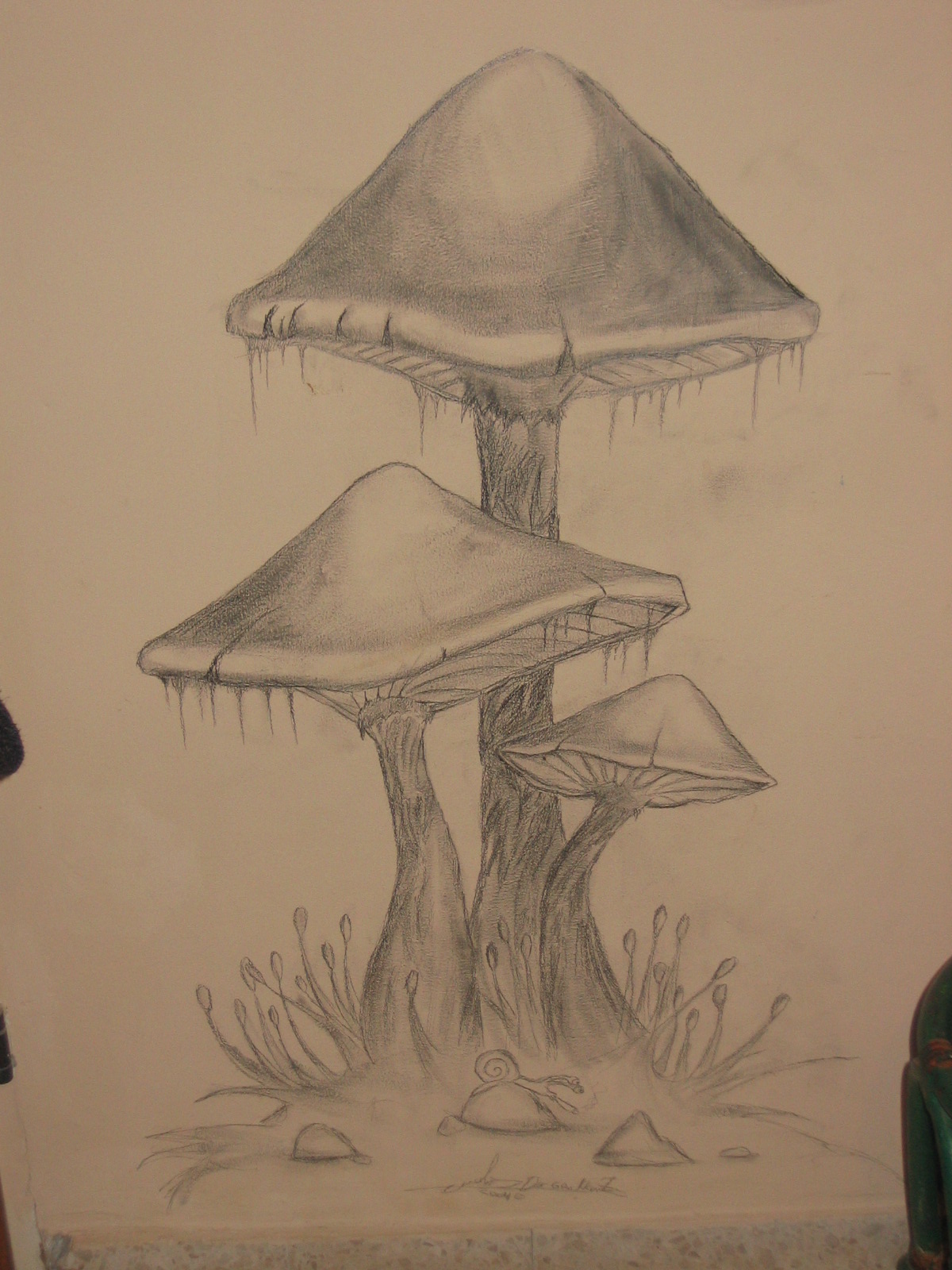 mushrooms