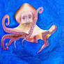 Wise Old Man-Octopus +