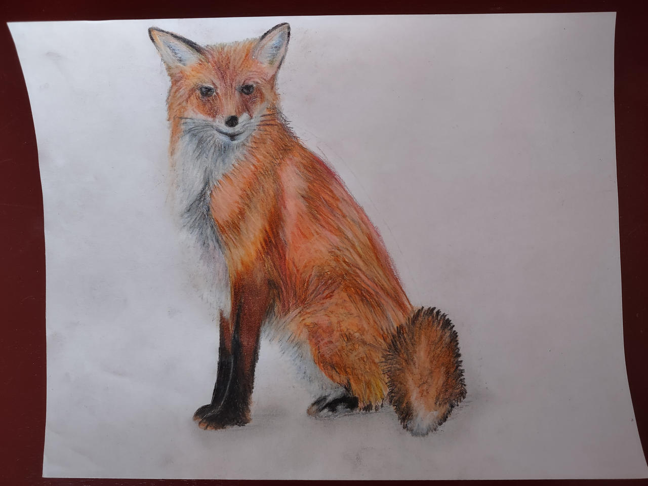 Fox