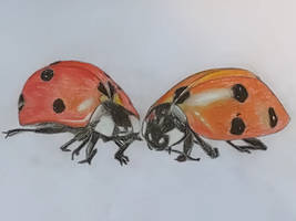 Old Animal Art +