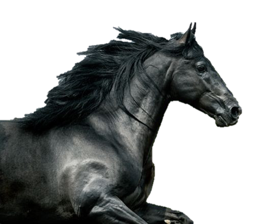 Black Horse, Precut