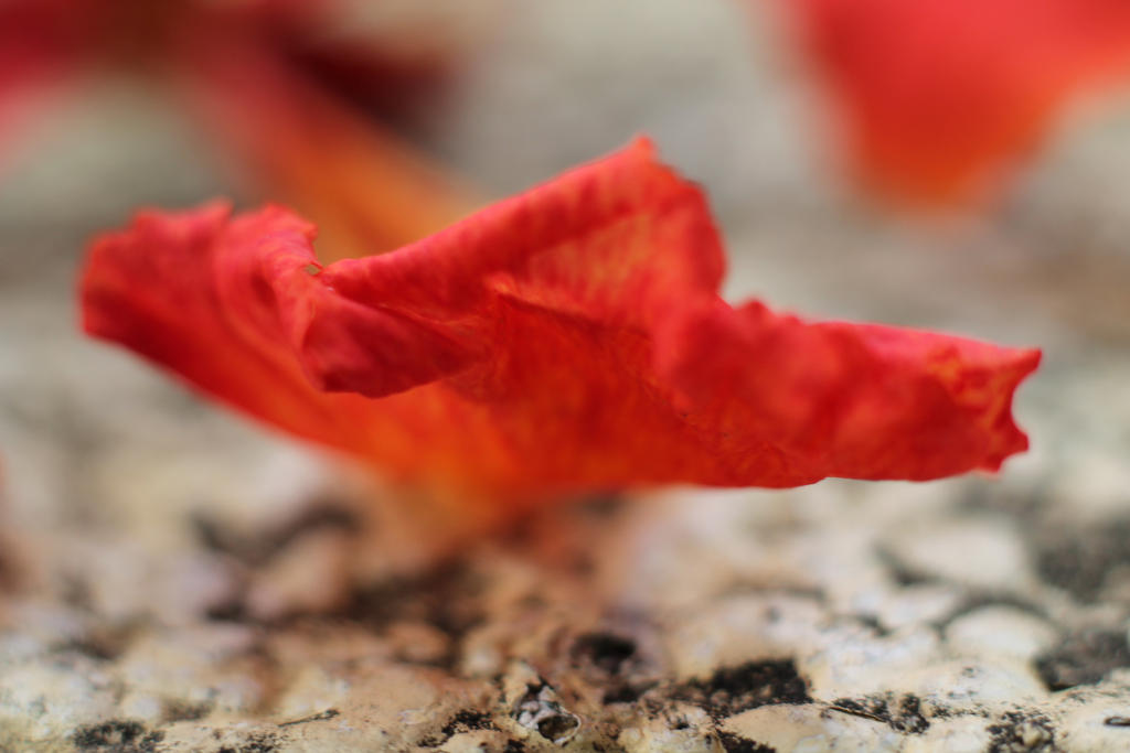 Blurred line by Eumer77 on DeviantArt