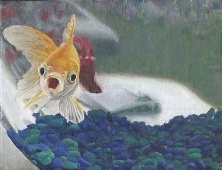 Realistic Fish Painting