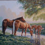 Horses by a Stream