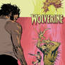 Wolverine Proposal Cover