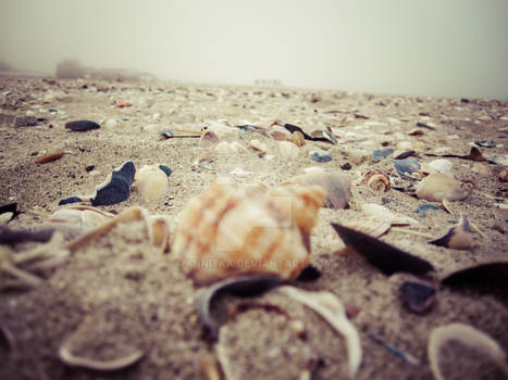 Walking on the shells