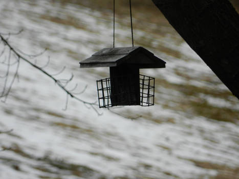 The Birdfeeder