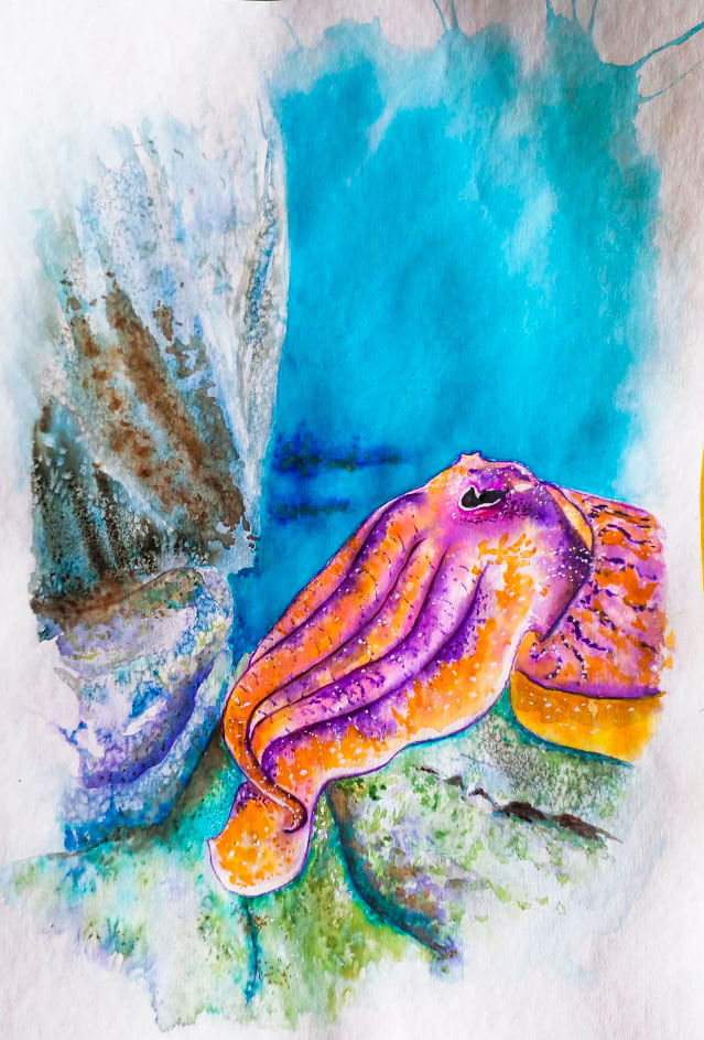 Cuttle fish painting by oljastevanovic on DeviantArt