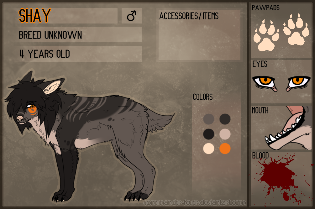 Shay Sheets Shay - Reference Sheet by JollyMutt on DeviantArt