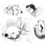 Butterfly Goldfish Doodles