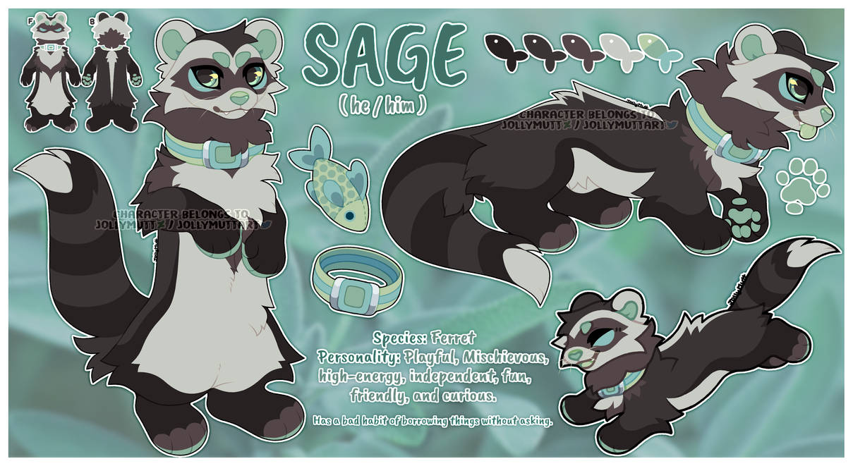 Sage - Reference by JollyMutt on DeviantArt