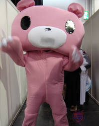 Gloomy Bear