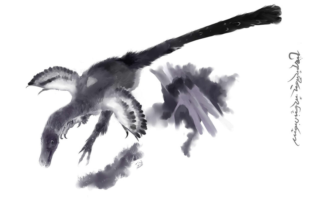 Linheraptor exquisitus by Guindagear on DeviantArt