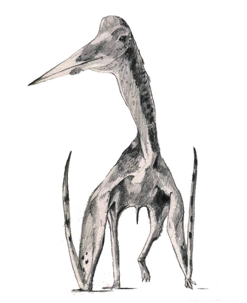 Quetzalcoatlus northopi by Guindagear on DeviantArt