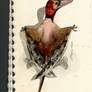 Preondactylus [Colored version]