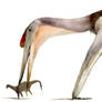 Hatzegopteryx