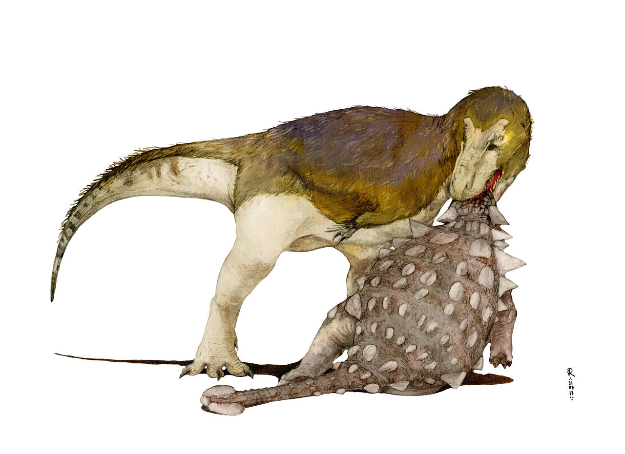 When Tyrannosaurus has win in ancient battle.