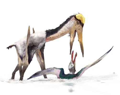 Alanqa attacked Siroccopteryx