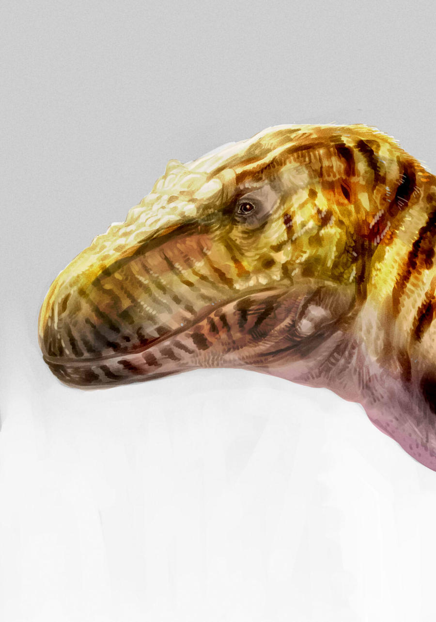 Siamraptor by Guindagear on DeviantArt