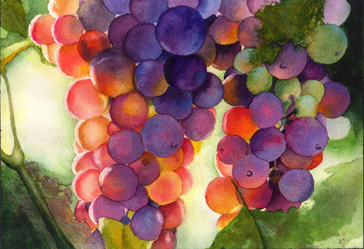 Grapes