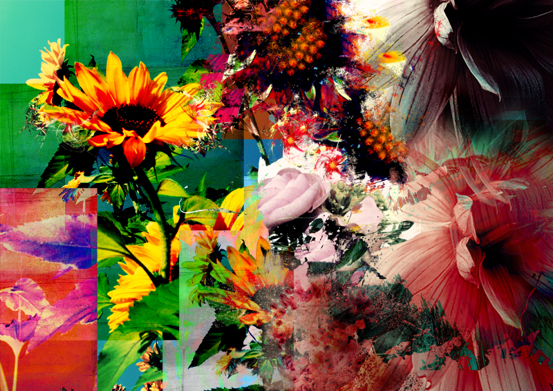 collage of flowers