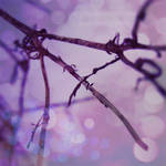 Sixth sense by edyssia