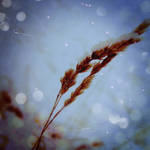 Impeccable by edyssia