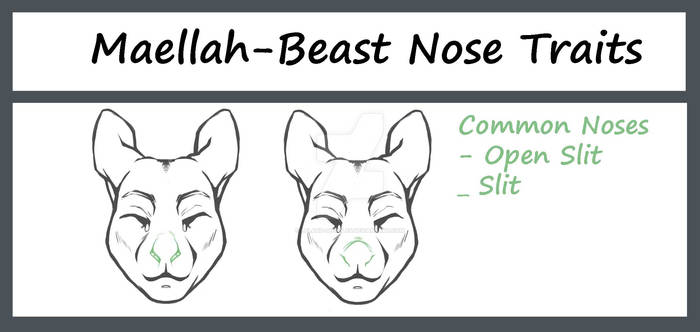 Maellah-Beast Noses