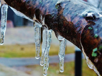 Ice Tree