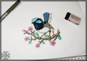 Superb blue fairy wren tattoo design