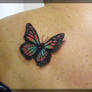 Colourful Butterfly Tattoo
