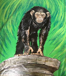 Chimpanzee painting