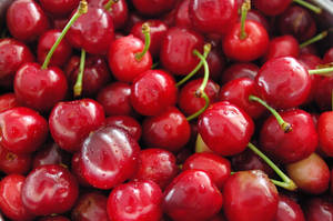 Cherries