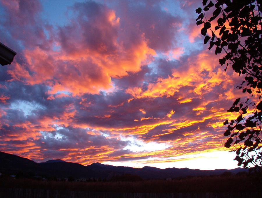 Colorado Sky 3