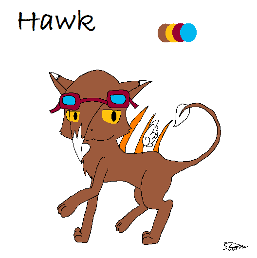 Hawk Reference Sheet by StormTheBard on DeviantArt