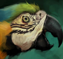 Ara By Mailinartwork Delv9od-pre (2)