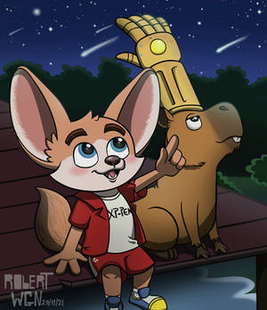 Concurso Xppen Capivara