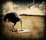 Ostrich Trouble by crilleb50