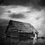 The Farmer
